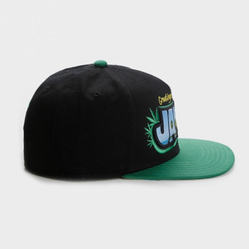 Trendy flat brimmed snapback hatsletter hip hop style grids