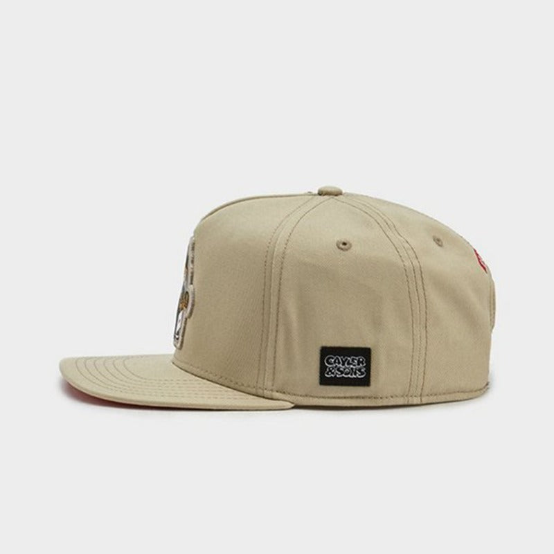Trendy flat brimmed snapback hatscartoon