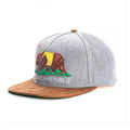 Trendy flat brimmed snapback hatscheech republic cap cartoon bear