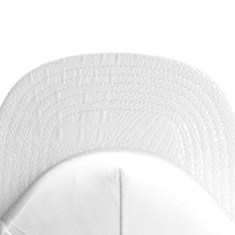 Trendy flat brimmed snapback hatsblank light board