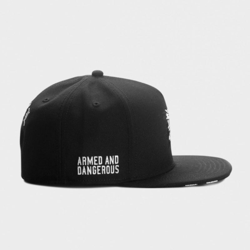 Trendy flat brimmed snapback hatsindian head sun shade