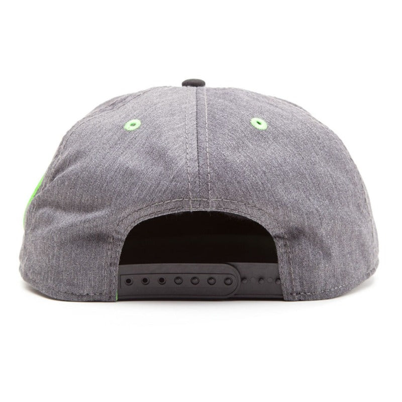 Trendy flat brimmed snapback hatscartoon sunshade