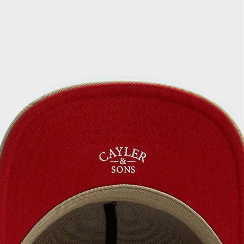 Trendy flat brimmed snapback hatscartoon