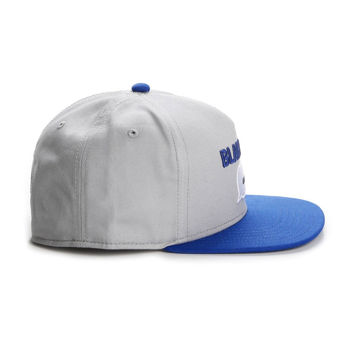Trendy flat brimmed snapback hatsshade