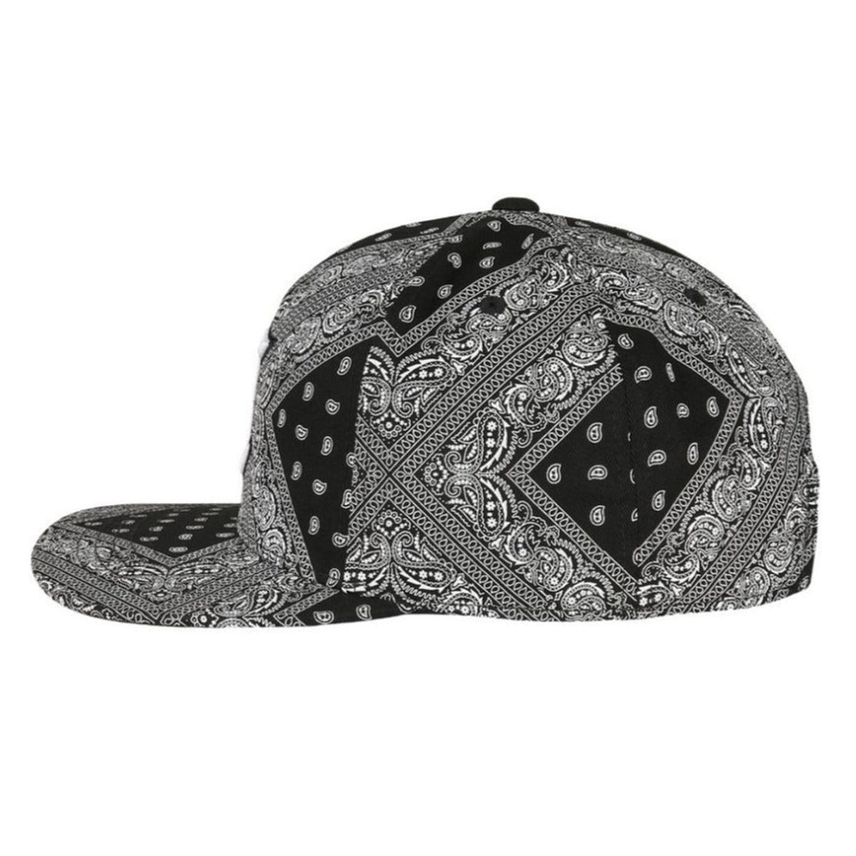 Trendy flat brimmed snapback hatscashew pattern sun shade