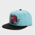 Trendy flat brimmed snapback hatscartoon pattern