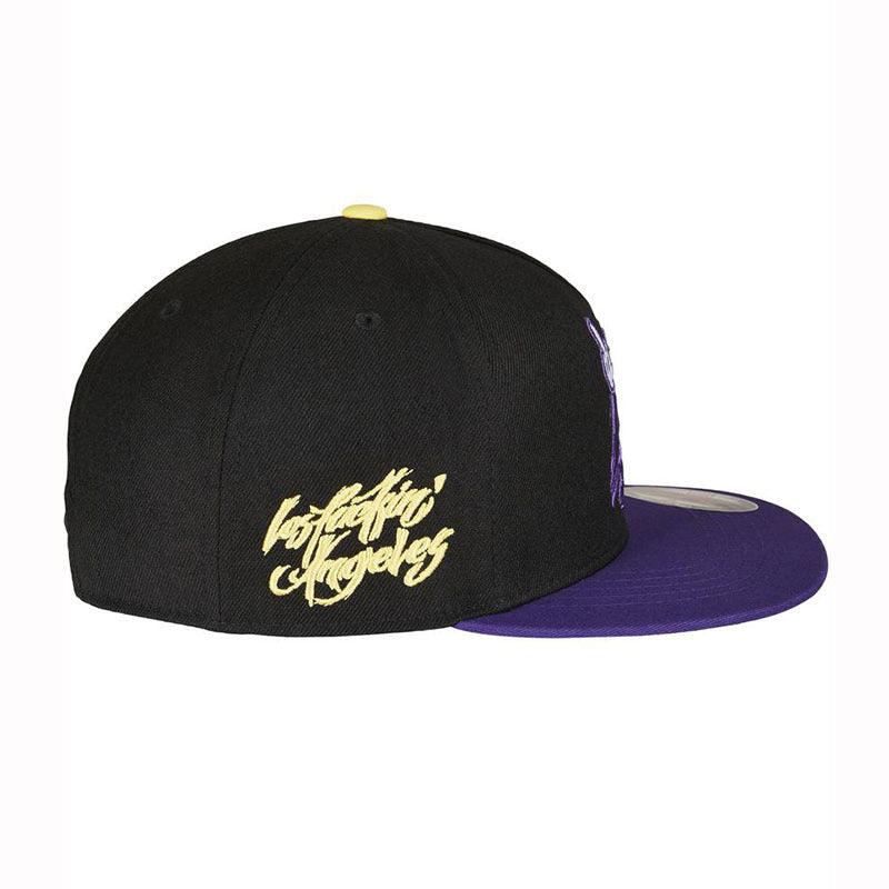 Trendy flat brimmed snapback hatsla hip-hop style