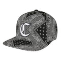 Trendy flat brimmed snapback hatscashew pattern sun shade