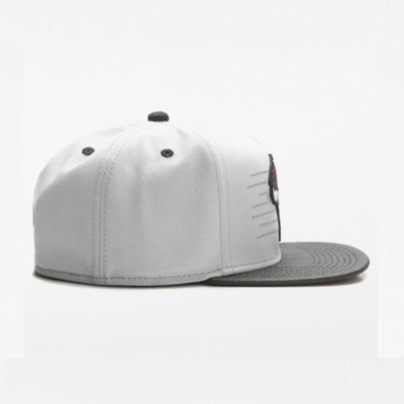 Trendy flat brimmed snapback hatscartoon