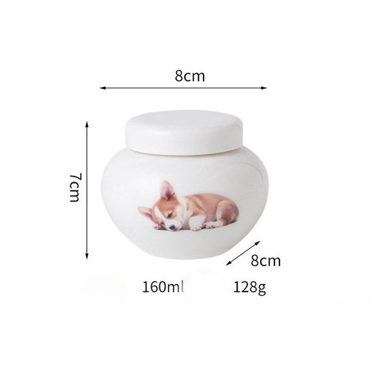 Pet Urn A custom cat puppy dog died cremation funeral urn tooth hair storage jar