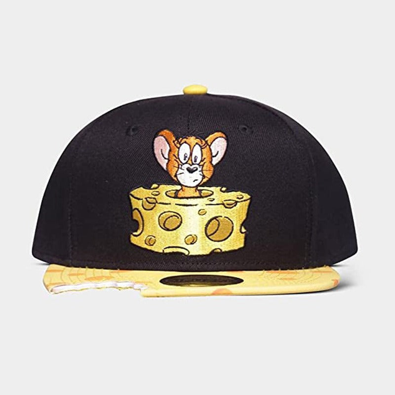 Trendy flat brimmed snapback hatsfall and winter cartoon difuzed