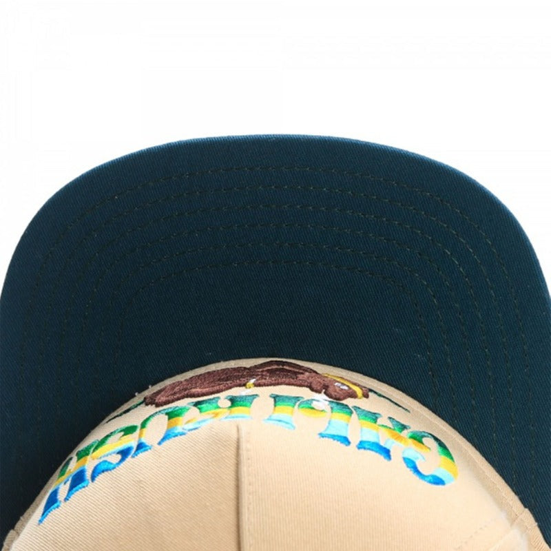 Trendy flat brimmed snapback hatscartoon bear kushstock cap for men and women